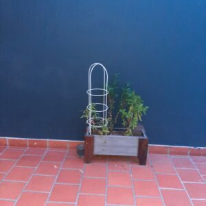 Tutores para Plantas
